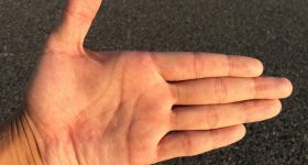Palmistry: చేతిరేఖలు ఎలా ఏర్పడతాయి? ఇవి మన భవిష్యత్తును నిర్ణయిస్తాయా?