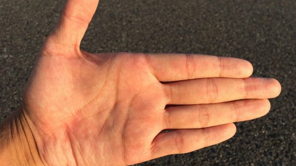 Palmistry: చేతిరేఖలు ఎలా ఏర్పడతాయి? ఇవి మన భవిష్యత్తును నిర్ణయిస్తాయా?