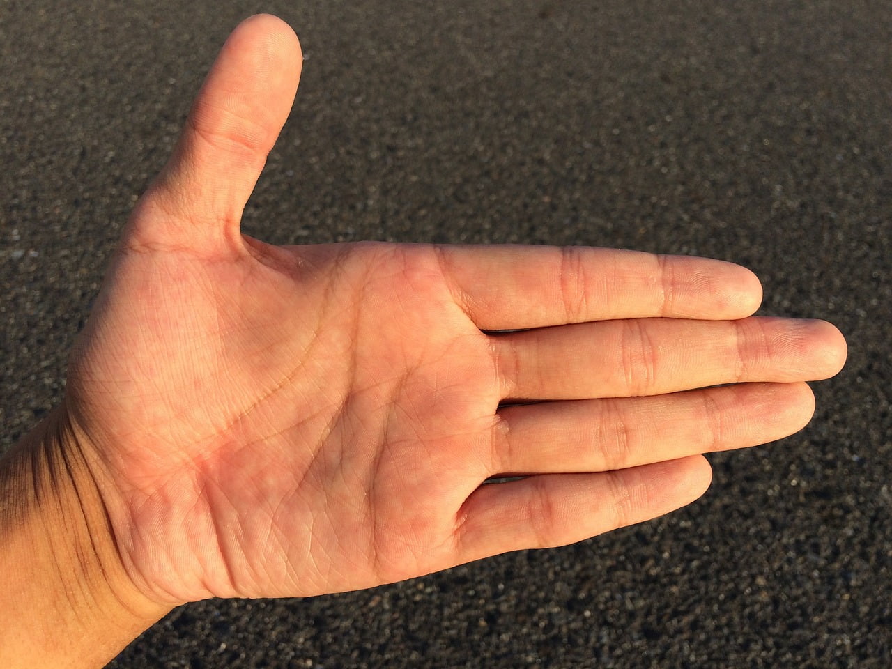 Palmistry: చేతిరేఖలు ఎలా ఏర్పడతాయి? ఇవి మన భవిష్యత్తును నిర్ణయిస్తాయా?