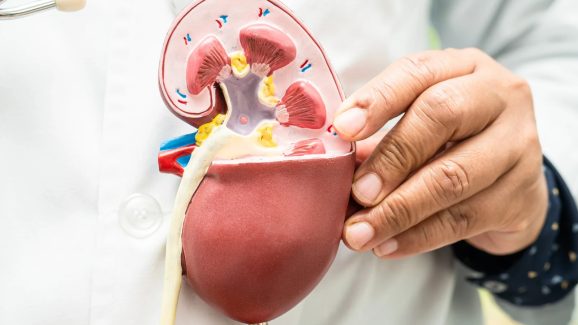 Kidney Care: మీ కాళ్లు ఇలా అవుతున్నాయా? జాగ్రత్త.. కిడ్నీల సమస్య కావచ్చు