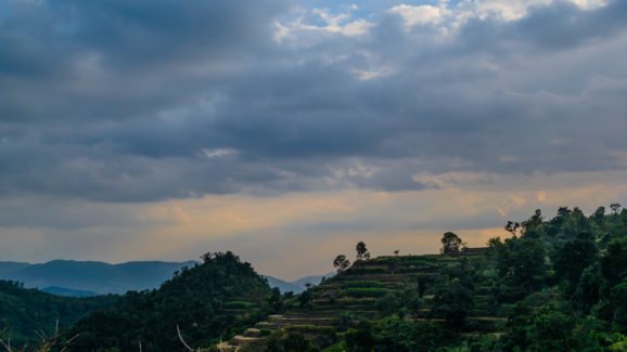Anantagiri Hills:  అనంతగిరి కొండలు.. ఎందుకంత ప్రత్యేకం?