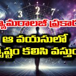 Numerology: న్యూమరాలాజీ ప్రకారం  మీకు ఏ వయసులో అదృష్టం కలిసి వస్తుందో తెలుసా..?
