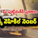 Lucky Vehicle Numbers: మీ పుట్టినతేదీ ప్రకారం మీకు అదృష్టాన్ని తీసుకు వచ్చే వెహికిల్  నెంబర్, కలరు ఎలా ఉండాలో తెలుసా…?