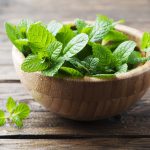 Mint Leaves: సువాసనలోనే కాదు.. పుదీనా ఆకులతో ఆ సమస్యలకు చెక్..!