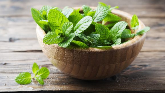 Mint Leaves: సువాసనలోనే కాదు.. పుదీనా ఆకులతో ఆ సమస్యలకు చెక్..!