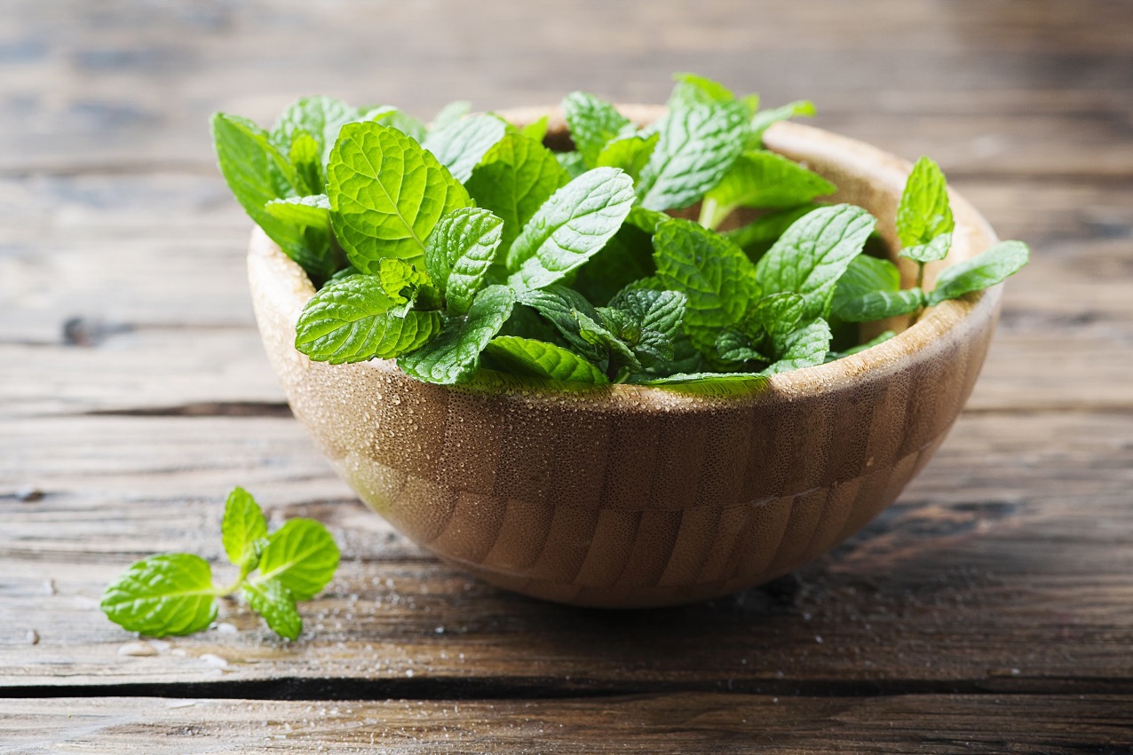 Mint Leaves: సువాసనలోనే కాదు.. పుదీనా ఆకులతో ఆ సమస్యలకు చెక్..!