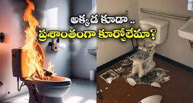 Toilet Seat Explodes: బాంబులా పేలిన టాయిలెట్ సీట్.. యువకుడు స్పాట్ లోనే!