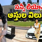 HBD Sunny Leone : సన్నీ లియోన్ ఆస్తి ఎన్ని వందల కోట్లో తెలుసా..? ఈ సంపాదన మొత్తం అక్కడి నుంచేనా..?