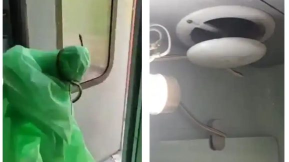 Snake in Train: ట్రైన్ టాయిలెట్‌లో పాము.. ఇదిగో ఇలా పట్టేసుకున్నారు!
