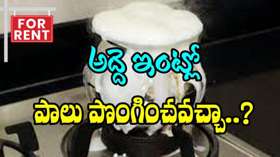 Rented House Rituals: అద్దె ఇంట్లోకి మారినప్పుడు పాలు పొంగించవచ్చా..? ఏ రోజు ఇల్లు మారితే శుభప్రదమో తెలుసా..?