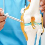 Bone Health: బరువు తగ్గుతారు సరే.. మరి ఎముకల సంగతేంటి?