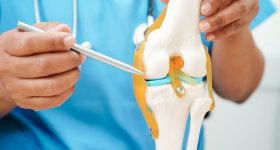 Bone Health: బరువు తగ్గుతారు సరే.. మరి ఎముకల సంగతేంటి?