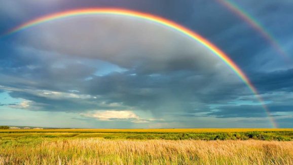Rainbow: ఇంద్రధనుస్సు ఎలా వస్తుంది? ఇందులో 7 రంగులే ఎందుకు ఉంటాయి?