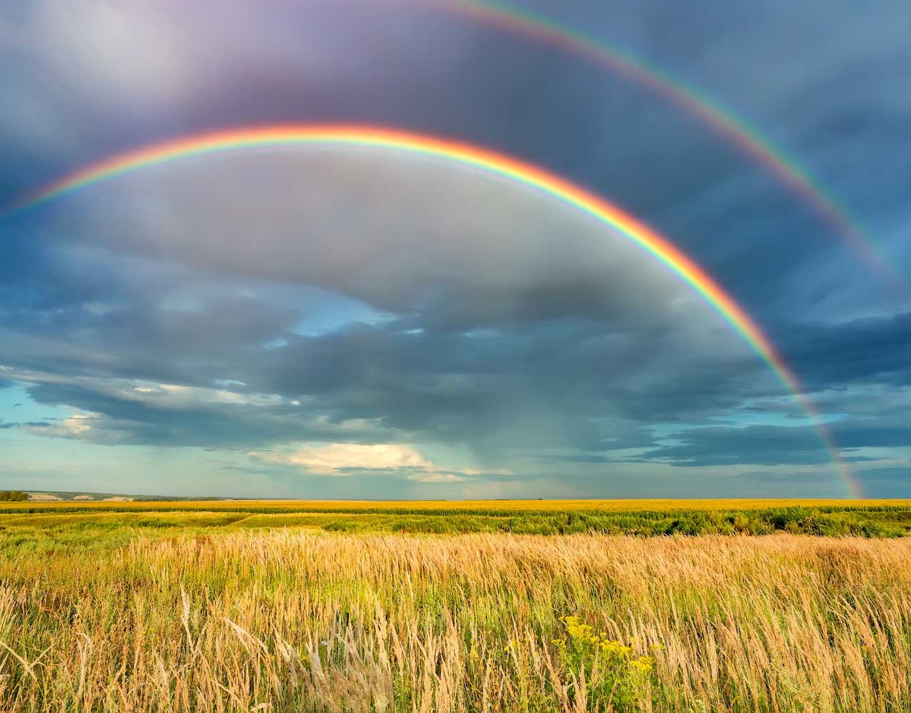 Rainbow: ఇంద్రధనుస్సు ఎలా వస్తుంది? ఇందులో 7 రంగులే ఎందుకు ఉంటాయి?