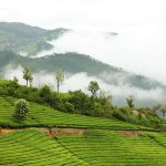 Coonoor: సమ్మర్‌లో రిలాక్స్ అవ్వడానికి సౌత్ ఇండియాలోనే హిల్ స్టేషన్