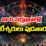 Birth Nakshatras: పుట్టుకతోనే అఖండమైన ధన యోగాన్ని ఇచ్చే జన్మ నక్షత్రాలు ఏవో తెలుసా..?