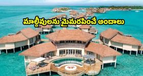 Place Like Maldives In India: మాల్దీవులను మరపించే అందాలు, ఒక్కసారైనా చూసి తీరాలి !