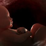 Fetus: తల్లి గర్భంలో ఉన్న శిశువుకు పోలికలు ఎలా వస్తాయి?