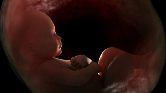 Fetus: తల్లి గర్భంలో ఉన్న శిశువుకు పోలికలు ఎలా వస్తాయి?