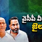 AP Liquor Scam: వైసీపీ వీఐపీలకు స్పెషల్ జైలు అక్కడే