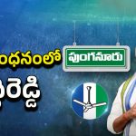 YSRCP VS TDP: అష్టదిగ్భంధనంలో పెద్దిరెడ్డి.. వైసీపీ నేతలు హ్యాపీ