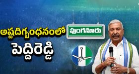 YSRCP VS TDP: అష్టదిగ్భంధనంలో పెద్దిరెడ్డి.. వైసీపీ నేతలు హ్యాపీ
