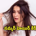 Hair Growth Tips: తరచుగా జుట్టు జిడ్డుగా మారుతోందా ? పరిష్కారం ఇదిగో !
