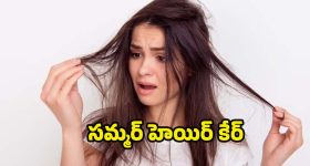 Hair Growth Tips: తరచుగా జుట్టు జిడ్డుగా మారుతోందా ? పరిష్కారం ఇదిగో !