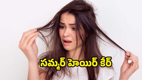Hair Growth Tips: తరచుగా జుట్టు జిడ్డుగా మారుతోందా ? పరిష్కారం ఇదిగో !