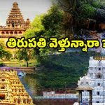 Tourist Places Near Tirupati: తిరుపతికి దగ్గరలోనే బెస్ట్ టూరిస్ట్ ప్లేస్‌లు.. అస్సలు మిస్సవ్వొద్దు !