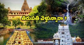 Tourist Places Near Tirupati: తిరుపతికి దగ్గరలోనే బెస్ట్ టూరిస్ట్ ప్లేస్‌లు.. అస్సలు మిస్సవ్వొద్దు !