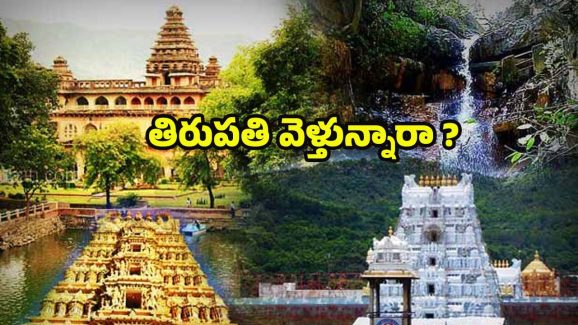 Tourist Places Near Tirupati: తిరుపతికి దగ్గరలోనే బెస్ట్ టూరిస్ట్ ప్లేస్‌లు.. అస్సలు మిస్సవ్వొద్దు !