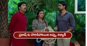 Gundeninda GudiGantalu Today episode: మౌనిక కోసం వెతుకుతున్న సంజయ్.. మీనాకు బాలు బంఫర్ ఆఫర్..