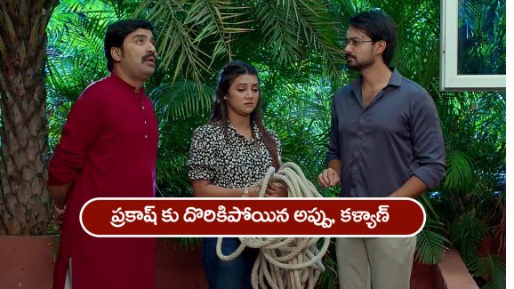 Brahmamudi Serial Today May 30th: ‘బ్రహ్మముడి’ సీరియల్: అప్పుకి దొరికిన దొంగ – ధాన్యలక్ష్మికి దొరికిపోయిన అప్పు, కళ్యాణ్‌  
