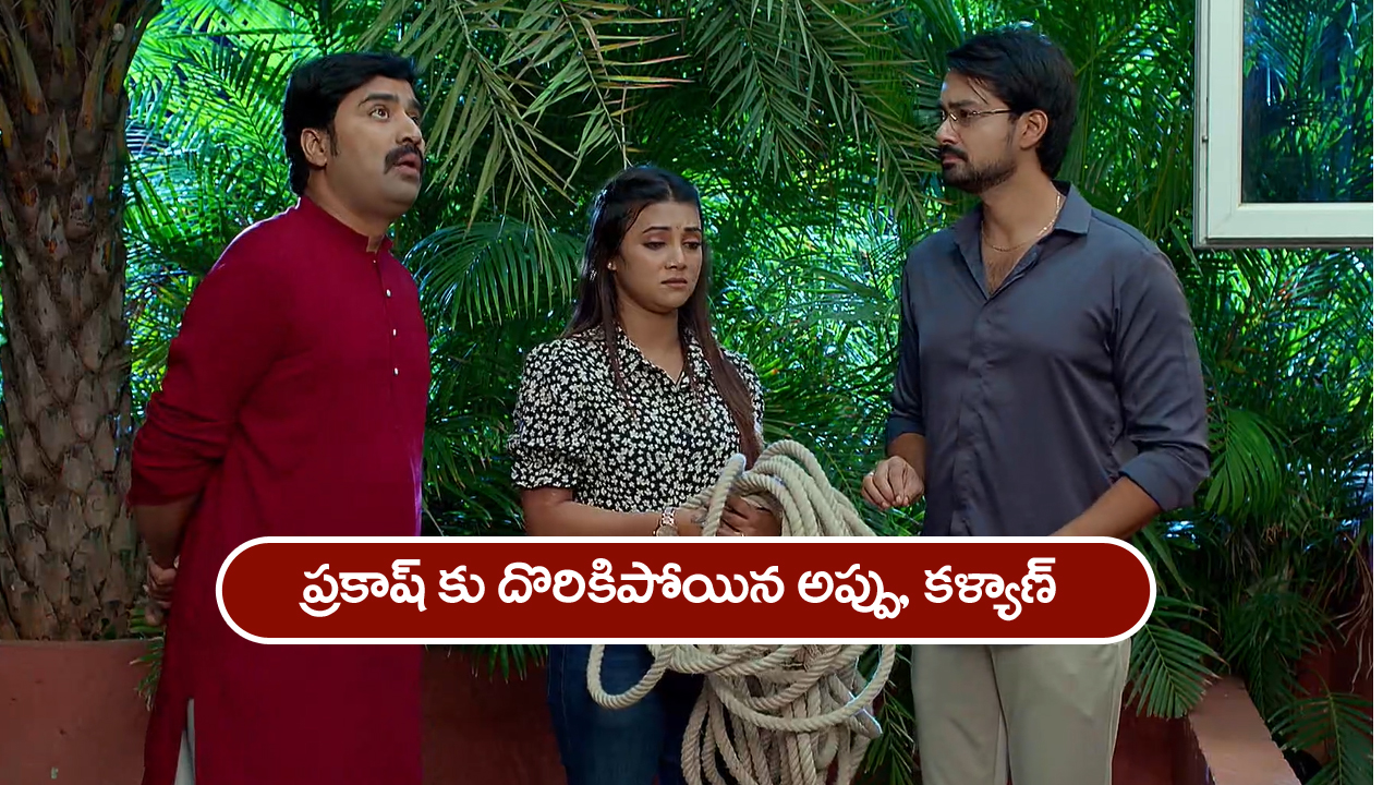 Brahmamudi Serial Today May 30th: ‘బ్రహ్మముడి’ సీరియల్: అప్పుకి దొరికిన దొంగ – ధాన్యలక్ష్మికి దొరికిపోయిన అప్పు, కళ్యాణ్‌  