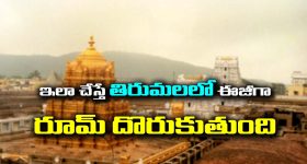 Akkineni Nagarjuna : ‘పుష్ప’ మూవీపై నాగార్జున షాకింగ్ కామెంట్స్.. సౌత్ కంటే నార్త్‌లోనే అంటూ..