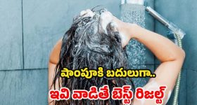 Hair Wash: ఖరీదైన షాంపూలు అవసరమే లేదు.. వీటితో బెస్ట్ రిజల్ట్స్