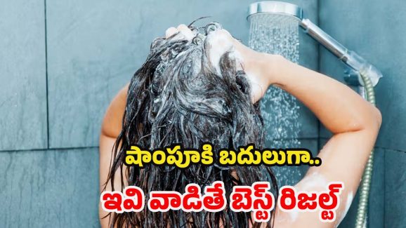 Hair Wash: ఖరీదైన షాంపూలు అవసరమే లేదు.. వీటితో బెస్ట్ రిజల్ట్స్