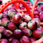 Apple Side effects: యాపిల్స్ మంచివి కదా అని ఎక్కువగా తినేస్తే ఏం అవుతుందో తెలుసా?