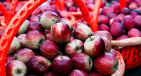 Apple Side effects: యాపిల్స్ మంచివి కదా అని ఎక్కువగా తినేస్తే ఏం అవుతుందో తెలుసా?