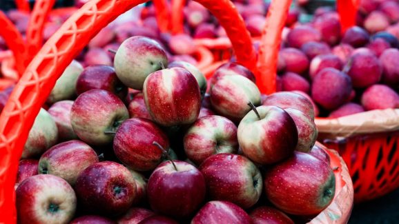 Apple Side effects: యాపిల్స్ మంచివి కదా అని ఎక్కువగా తినేస్తే ఏం అవుతుందో తెలుసా?
