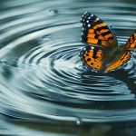 Butterfly effect: సీతాకోకచిలుక రెక్కలు ఆడిస్తేనే తుఫాను వస్తుందా? సైన్ ఏం చెబుతోంది?