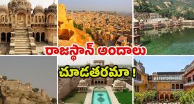 Rajasthan Tour: రాజస్థాన్‌లో ఈ ప్రదేశాలను చూడకపోతే.. లైఫ్‌లో చాలా మిస్స్ అవుతారు !