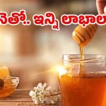 Honey Benefits: తేనెతో.. మతిపోయే లాభాలు !