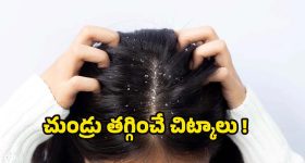 Myth: పిల్లి ఎదురైతే అపశకునం అంటారు.. మరి కుక్క ఎదురైతే?
