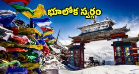 Real Love Story: గులకరాయితో ప్రేమ.. ఆపై రొమాన్స్.. ఇదేం లవ్ బాబోయ్.. ఇదో వెరైటీ!