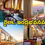 Luxury Trains: రైలా.. ఇంద్రభవనమా ? టికెట్ చార్జీలు తెలిస్తే.. మతిపోతుంది