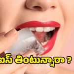 Ice Craving: ఐస్ తినాలని అనిపిస్తోందా ? జాగ్రత్త.. ఈ వ్యాధి బారిన పడ్డారేమో !
