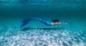 Mermaids Existence: జల కన్యలు నిజంగానే ఉంటారా? సైన్స్‌ ఏం చెబుతోందంటే..