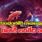 Rahu into Aquarius: మే 18న కుంభంలోకి వెళ్తున్న రాహువు – మీన రాశి వారికి ఊహించని సంఘటనలు  